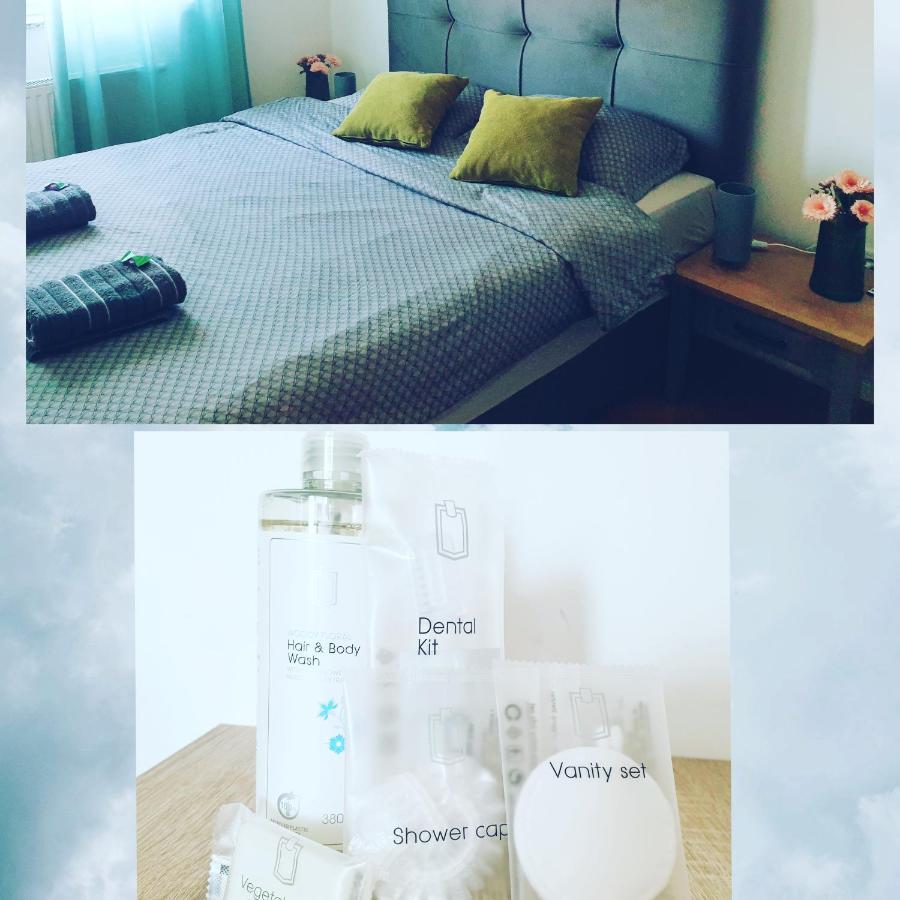 Apartman Angel 오시예크 외부 사진